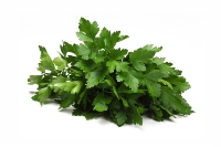 Shaved Continental Parsley 1KG