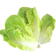 Lettuce - Washed Baby Cos 1.5 kg