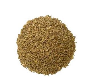 Spices - Caraway Seed 1 kg