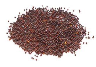 Spices - Brown Mustard Seed 1 kg