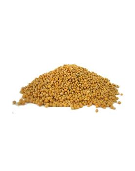 Spices - Yellow Mustard Seed 1 kg
