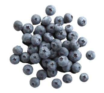 Fruit Frozen Blueberries 1kg