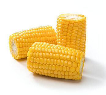 Corn on the Cob Portion cooked – 60 pack